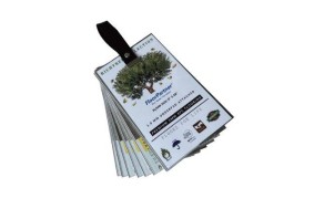 DISPLAY SAMPLE SETS-07