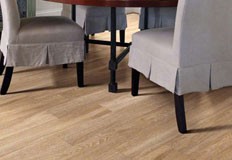 Top 10 PPC Competitors of Vinyl Floor Top 10 PPC Competitors of Vinyl Floor